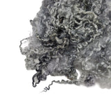 Extreme 12&quot; long ,  2nd clip Wensleydale wool locks,  Premium locks for tailspinning and felting,  1oz , Color: Gray , ADF-57