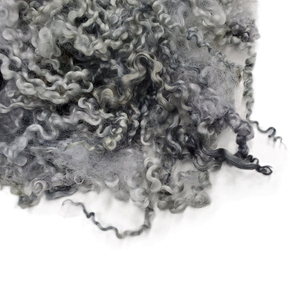 Extreme 12" long ,  2nd clip Wensleydale wool locks,  Premium locks for tailspinning and felting,  1oz , Color: Gray , ADF-57