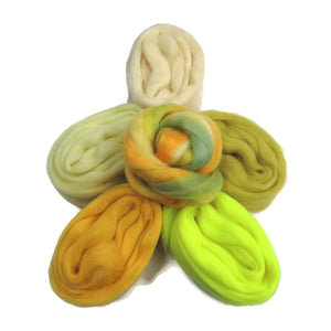Felters Palette Merino Wool Roving Kit - 5 Citrus Colors Superfine Wool Fibers Assortment (blended roving optional)