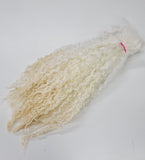 1oz Premium Extreme Wensleydale hand picked wool locks, 13&quot; long,  color: Natural white