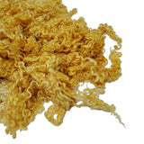 1oz , Prime 2nd clip Teaswater wool locks, 5&quot;  long , Premium locks for tailspinning and felting  color: Yellow  (JD-13B)