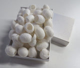 20 undyed Silk cocoons