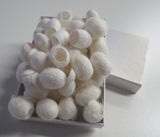 20 undyed Silk cocoons